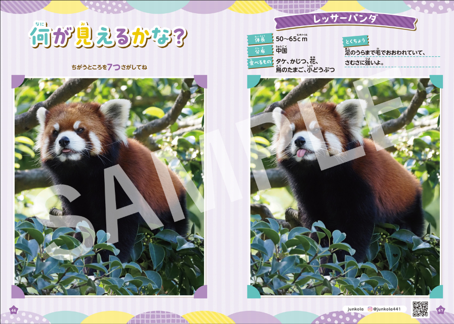 SNSで話題の動物たちが「まちがいさがし」にの画像