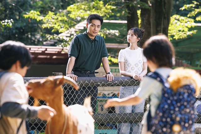 『ライオンの隠れ家』ちりばめれた点が線にの画像