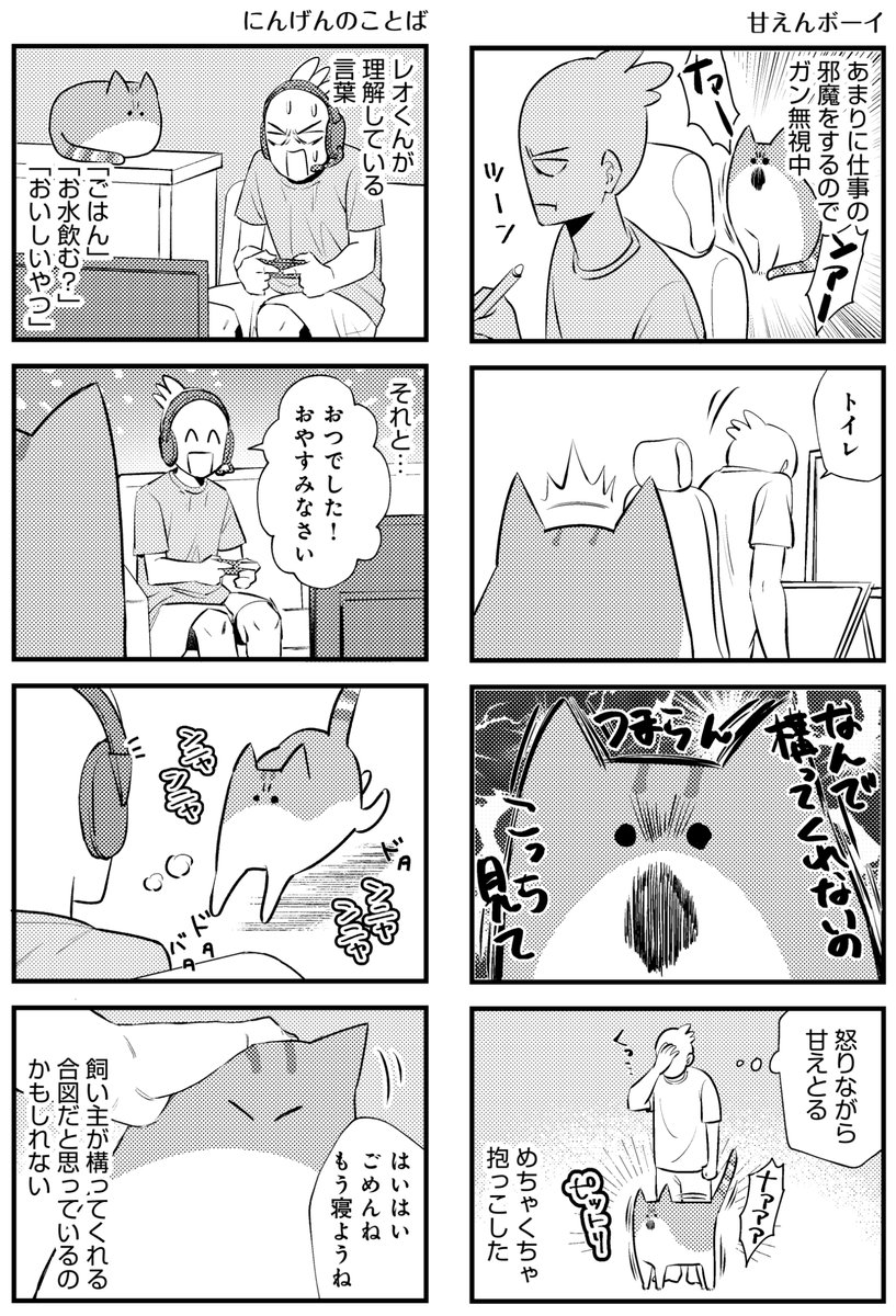 【漫画】最高カワイイ！甘えん坊3猫日記の画像