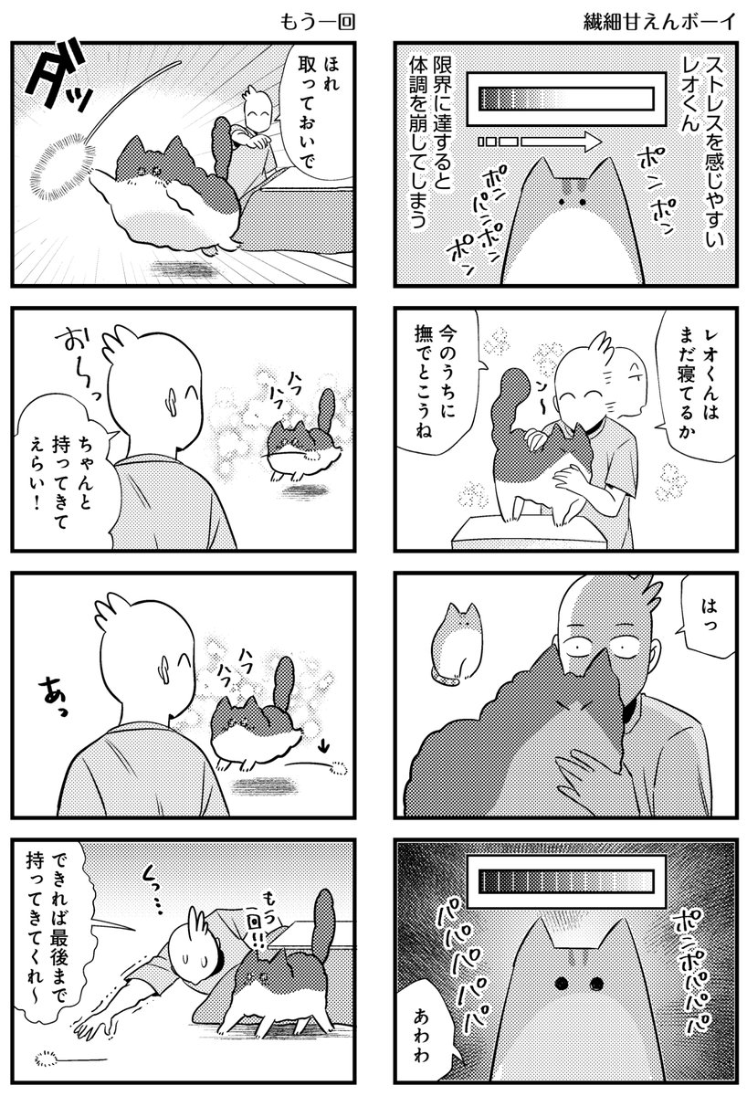 【漫画】最高カワイイ！甘えん坊3猫日記の画像