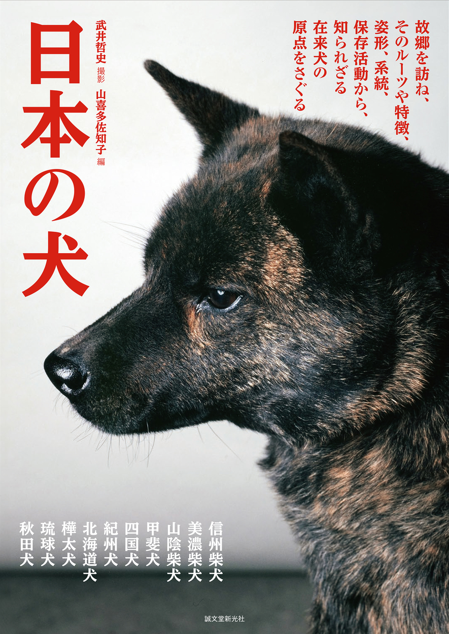 日本原産犬種の産地・名犬を掲載した決定版の画像