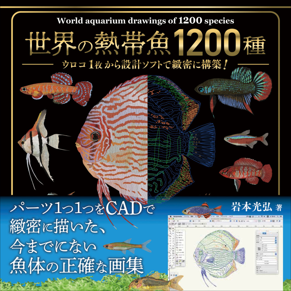 熱帯魚の魚体を正確に描いた美しい画集の画像