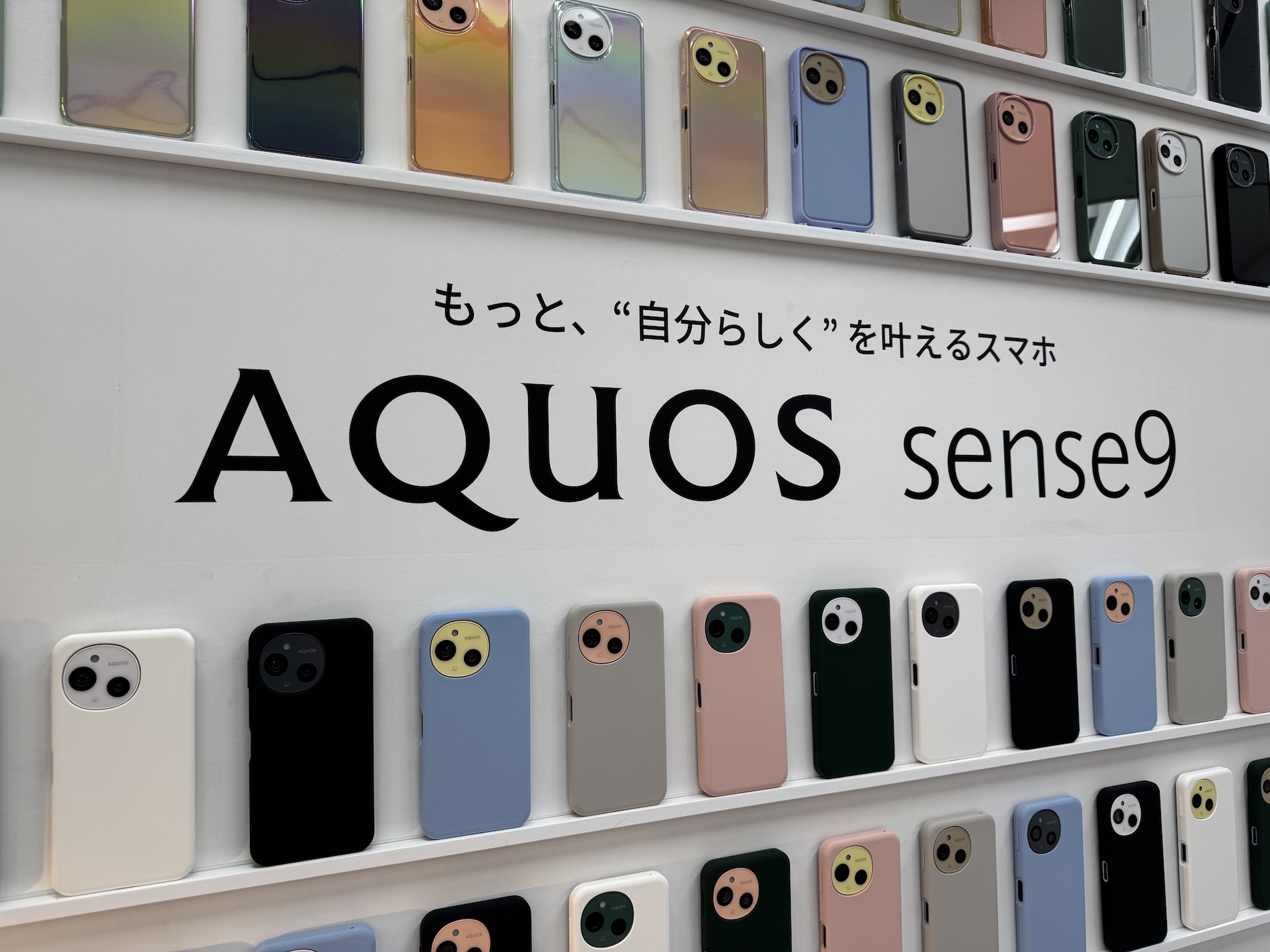 aquos