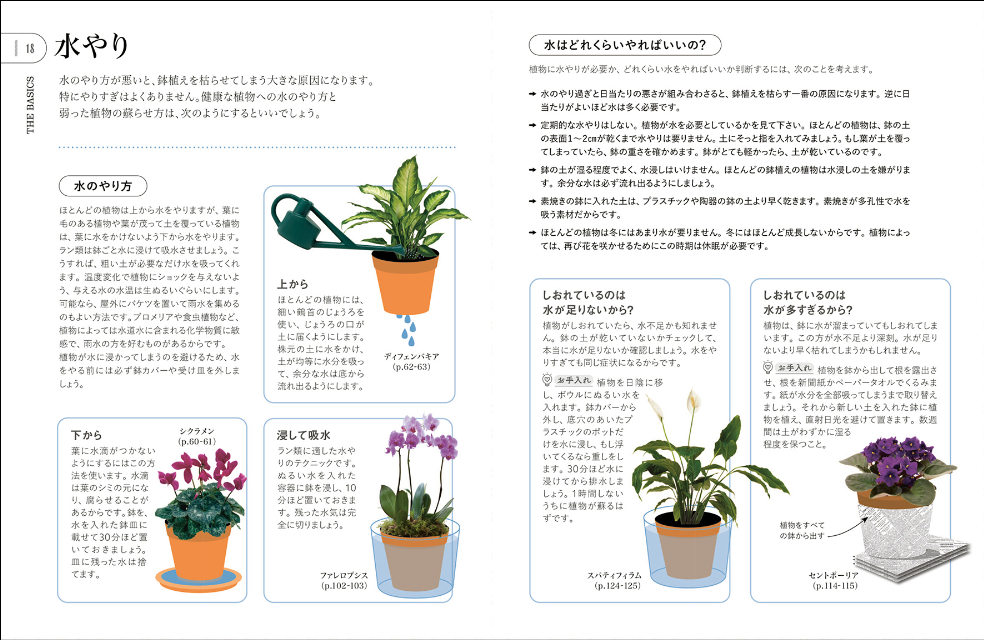 『観葉植物を枯らさないための本』の画像