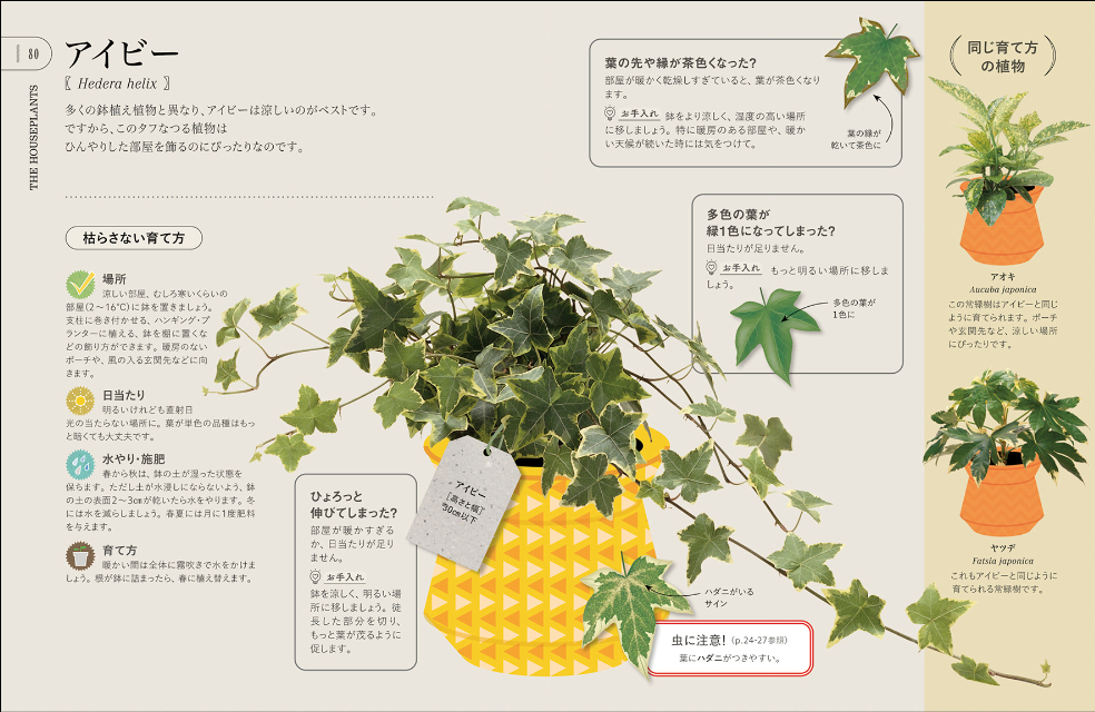 『観葉植物を枯らさないための本』の画像