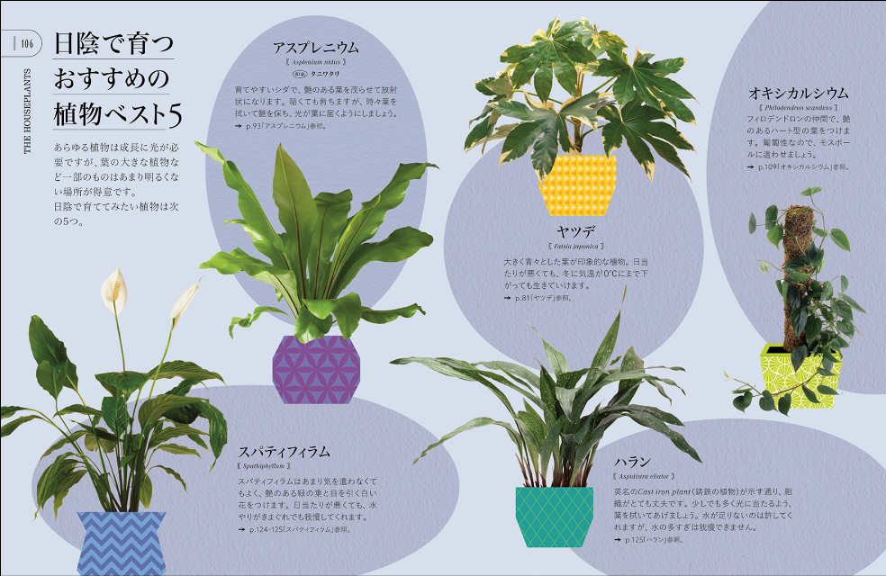 『観葉植物を枯らさないための本』の画像