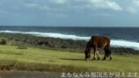 謎のエリアを旅する動画が大ヒットした理由の画像