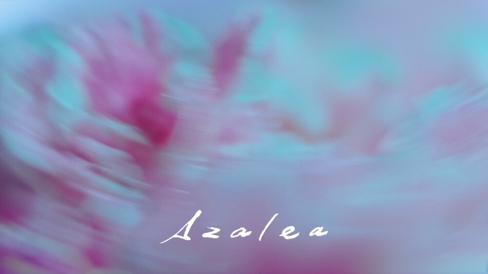 米津玄師、新曲「Azalea」MV公開