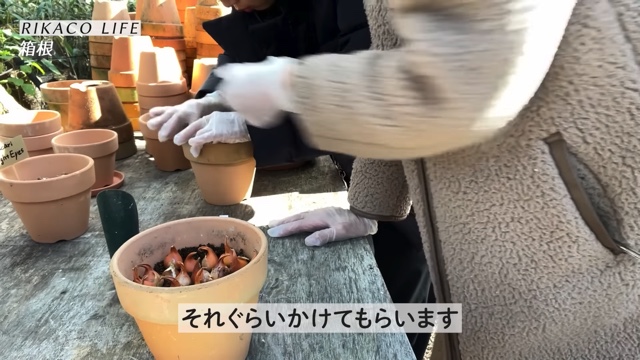 RIKACO、大人な箱根旅を披露の画像