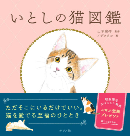 猫好き必見！　猫の魅力・かわいさが詰まった『いとしの猫図鑑』発売