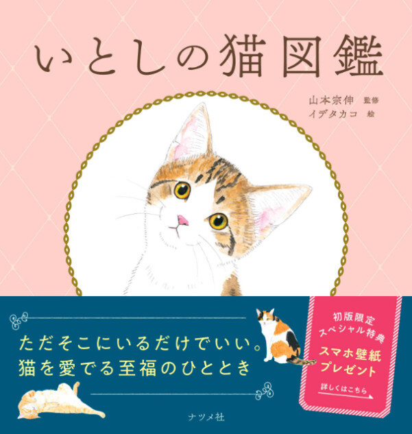 猫のかわいさが詰まった『いとしの猫図鑑』