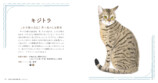 猫のかわいさが詰まった『いとしの猫図鑑』の画像