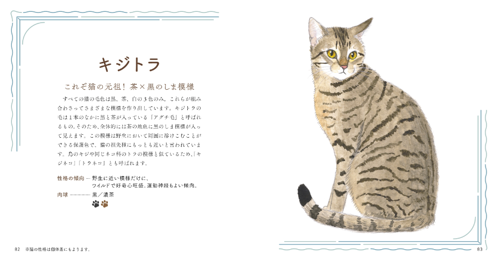 猫のかわいさが詰まった『いとしの猫図鑑』の画像