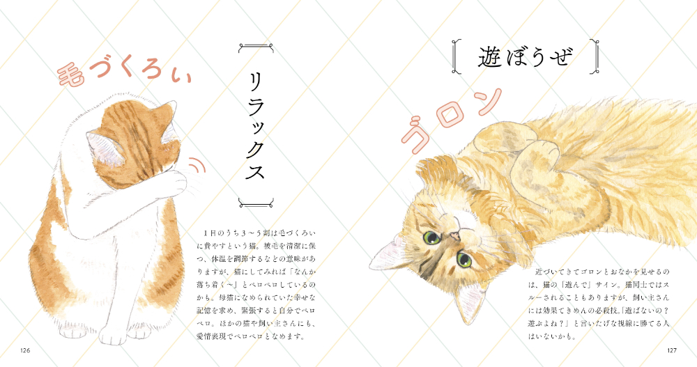 猫のかわいさが詰まった『いとしの猫図鑑』の画像