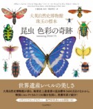 『大英自然史博物館 珠玉の標本　昆虫 色彩の奇跡』　厳選された昆虫標本コレクションの画像