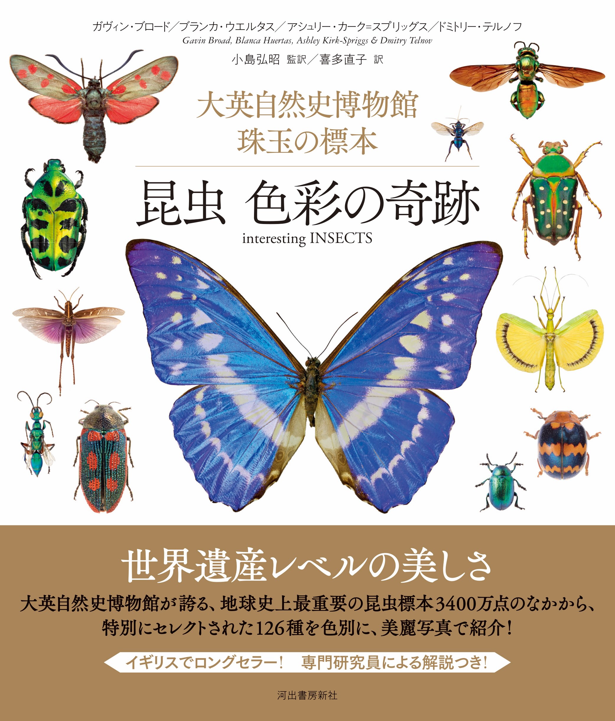 『大英自然史博物館 珠玉の標本　昆虫 色彩の奇跡』　厳選された昆虫標本コレクション