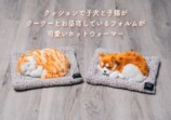 子猫＆子犬のホットウォーマーが登場の画像