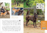 日本犬たちが勢揃い『Shi-Ba』Vol.134の画像