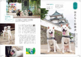 日本犬たちが勢揃い『Shi-Ba』Vol.134の画像