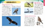 身近な鳥から渡り鳥まで、野鳥観察の入門書決定版の画像