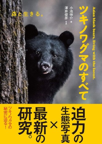 「今度はスーパーにも」クマが多数出没する秋田県ーー出身ライターが帰省のたびに感じる問題点