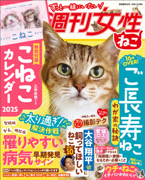 ご長寿ねこ特集『週刊女性　ねこ』