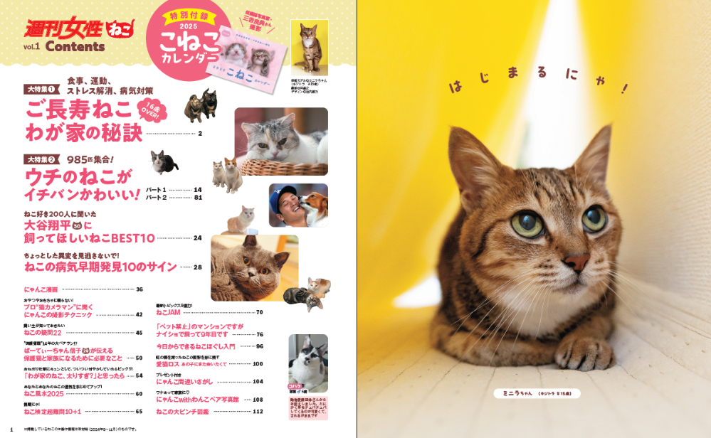 ご長寿ねこ特集『週刊女性　ねこ』の画像