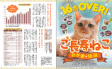 ご長寿ねこ特集『週刊女性　ねこ』の画像