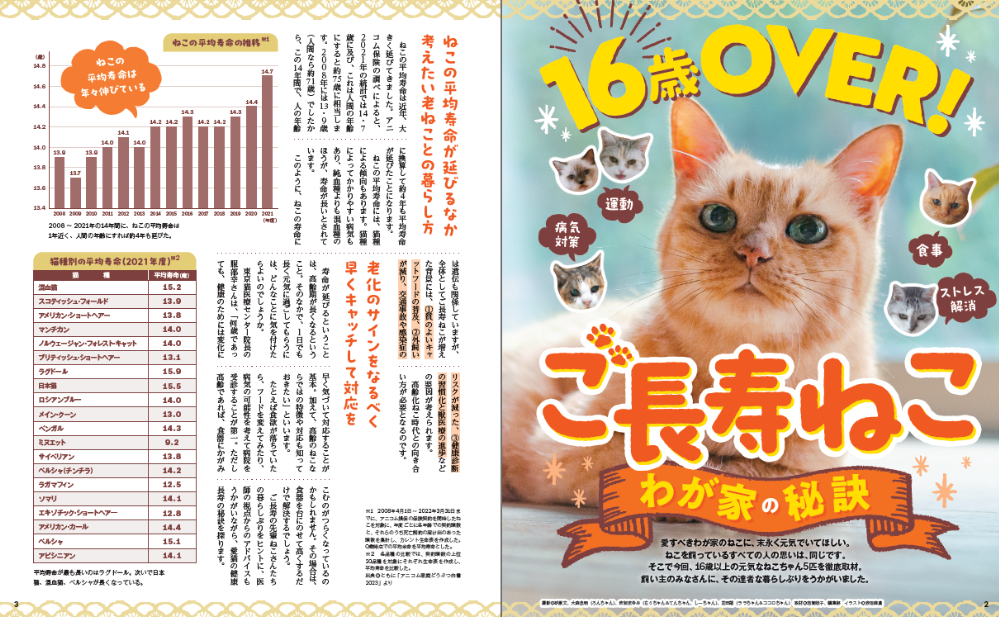 ご長寿ねこ特集『週刊女性　ねこ』の画像