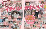 ご長寿ねこ特集『週刊女性　ねこ』の画像