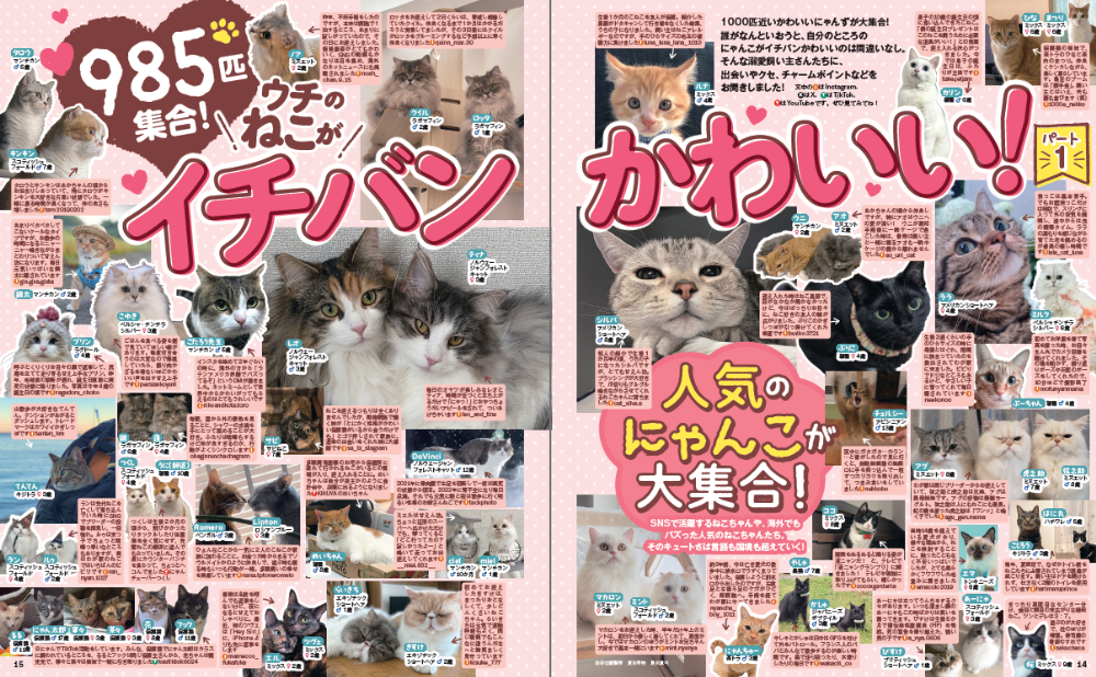 ご長寿ねこ特集『週刊女性　ねこ』の画像