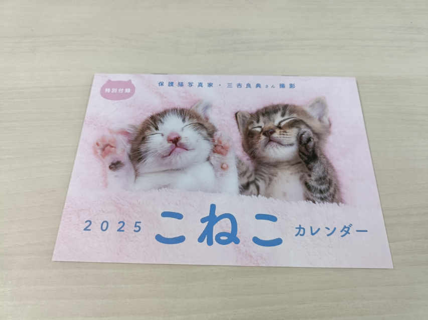 ご長寿ねこ特集『週刊女性　ねこ』の画像