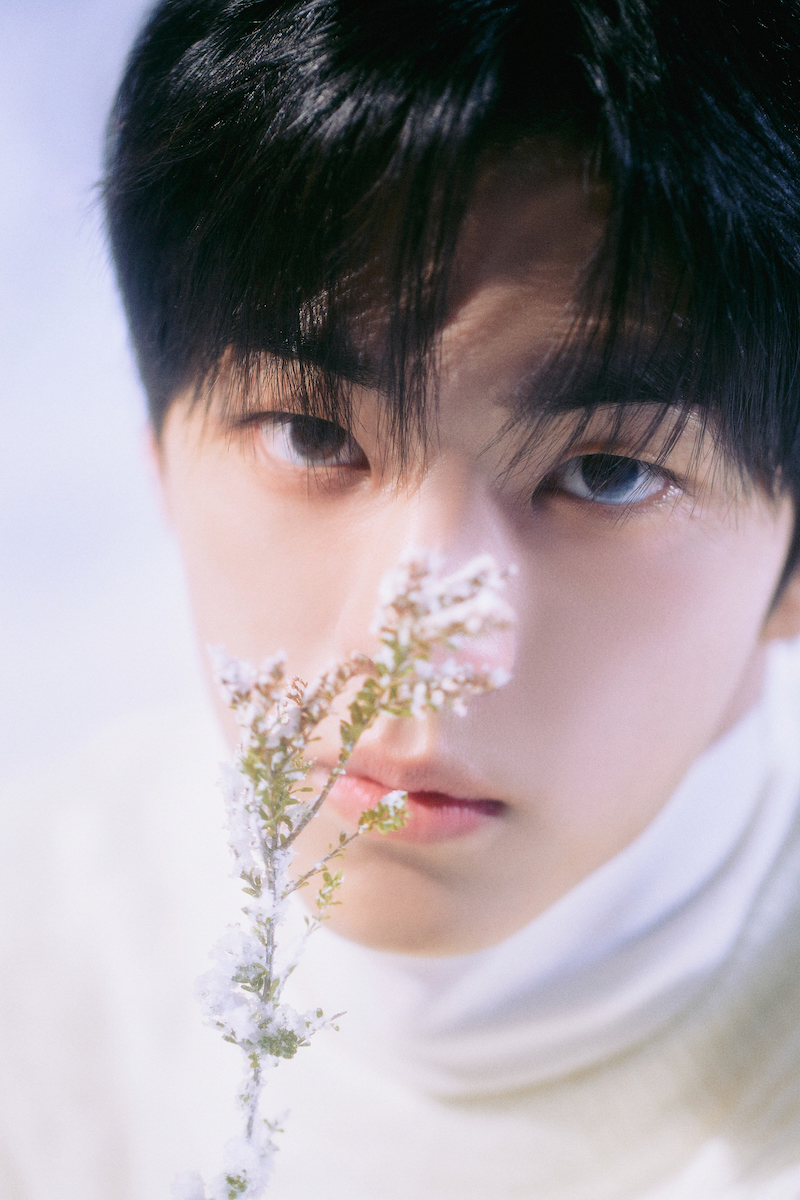 TWS (P)&(C) PLEDIS Entertainment