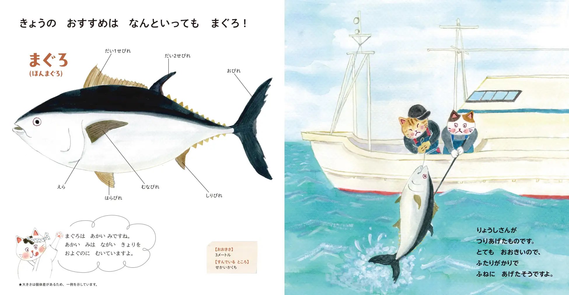 お寿司ができるまで丸わかりの絵本が話題の画像