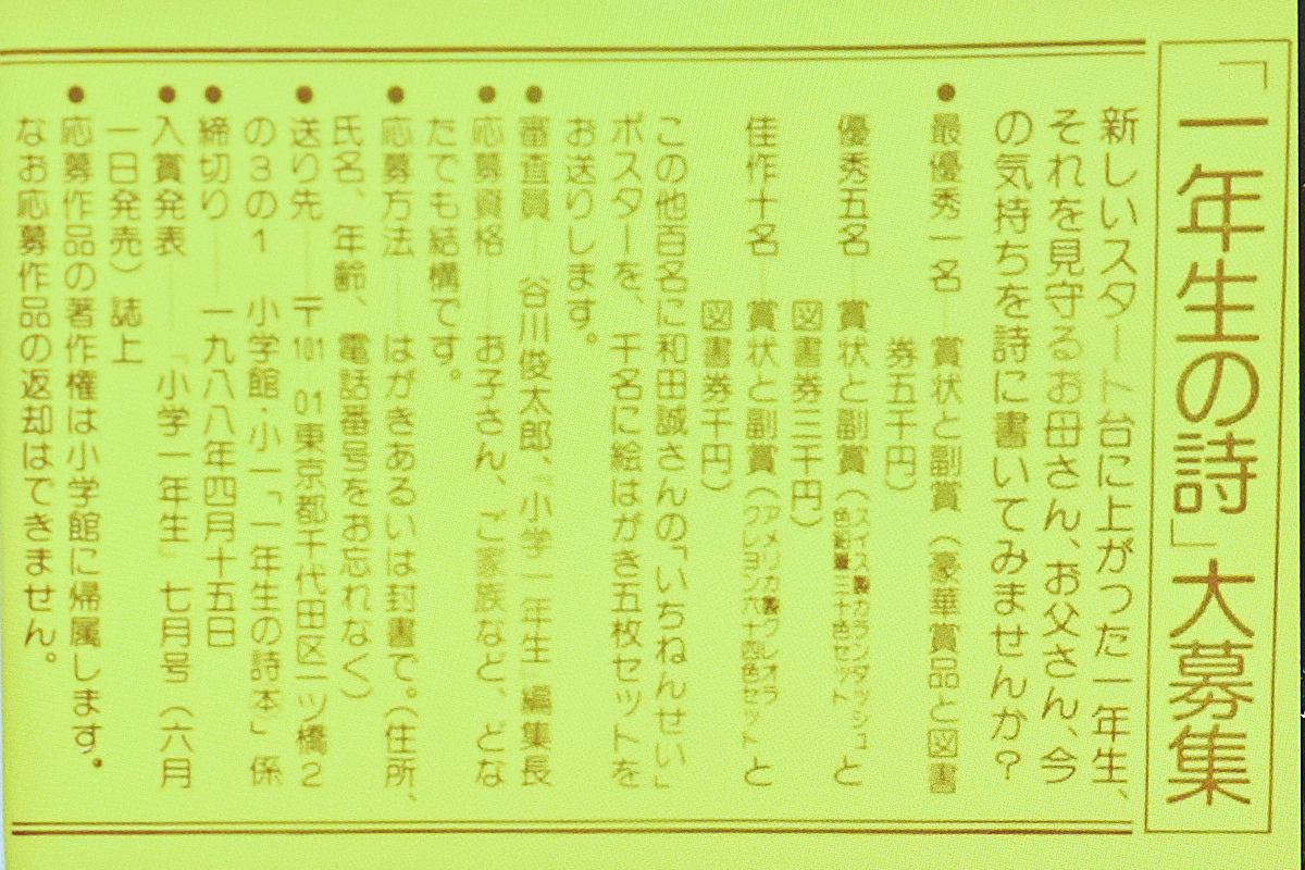 『いちねんせい』帯