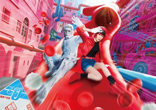 『はたらく細胞』が描く“勧善懲悪”の画像