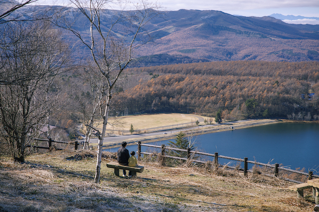 『ライオンの隠れ家』柚留木はもう一人の主役の画像