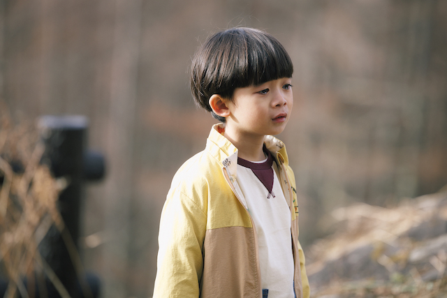 『ライオンの隠れ家』柚留木はもう一人の主役の画像