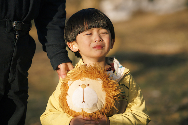 『ライオンの隠れ家』柚留木はもう一人の主役の画像