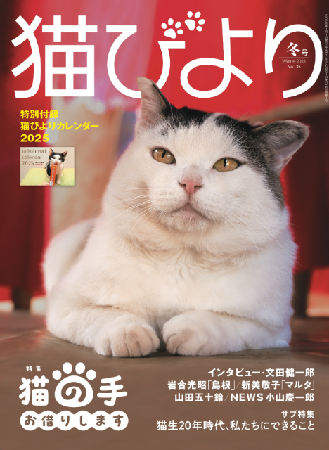 五輪金メダリストも登場『猫びより』2025年冬号