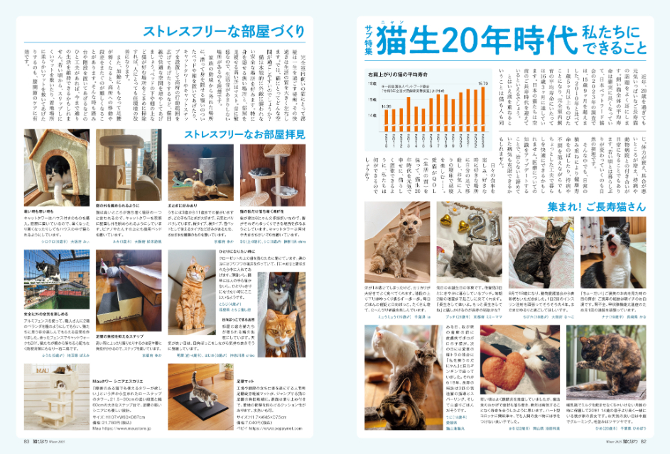 五輪金メダリストも登場『猫びより』2025年冬号の画像