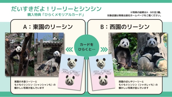 パンダ・リーリーとシンシンの写真集が発売の画像