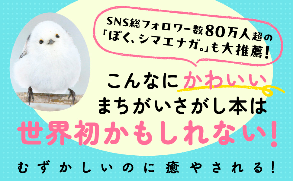 『もふもふいっぱい！ シマエナガのまちがいさがし』の画像