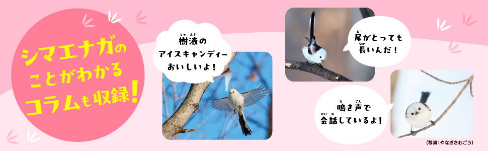 『もふもふいっぱい！ シマエナガのまちがいさがし』の画像