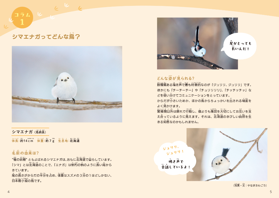 『もふもふいっぱい！ シマエナガのまちがいさがし』の画像