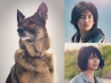 斎藤工、伊藤健太郎ら、『少年と犬』に出演　の画像