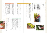 手軽にプランター野菜づくりを始められる一冊の画像