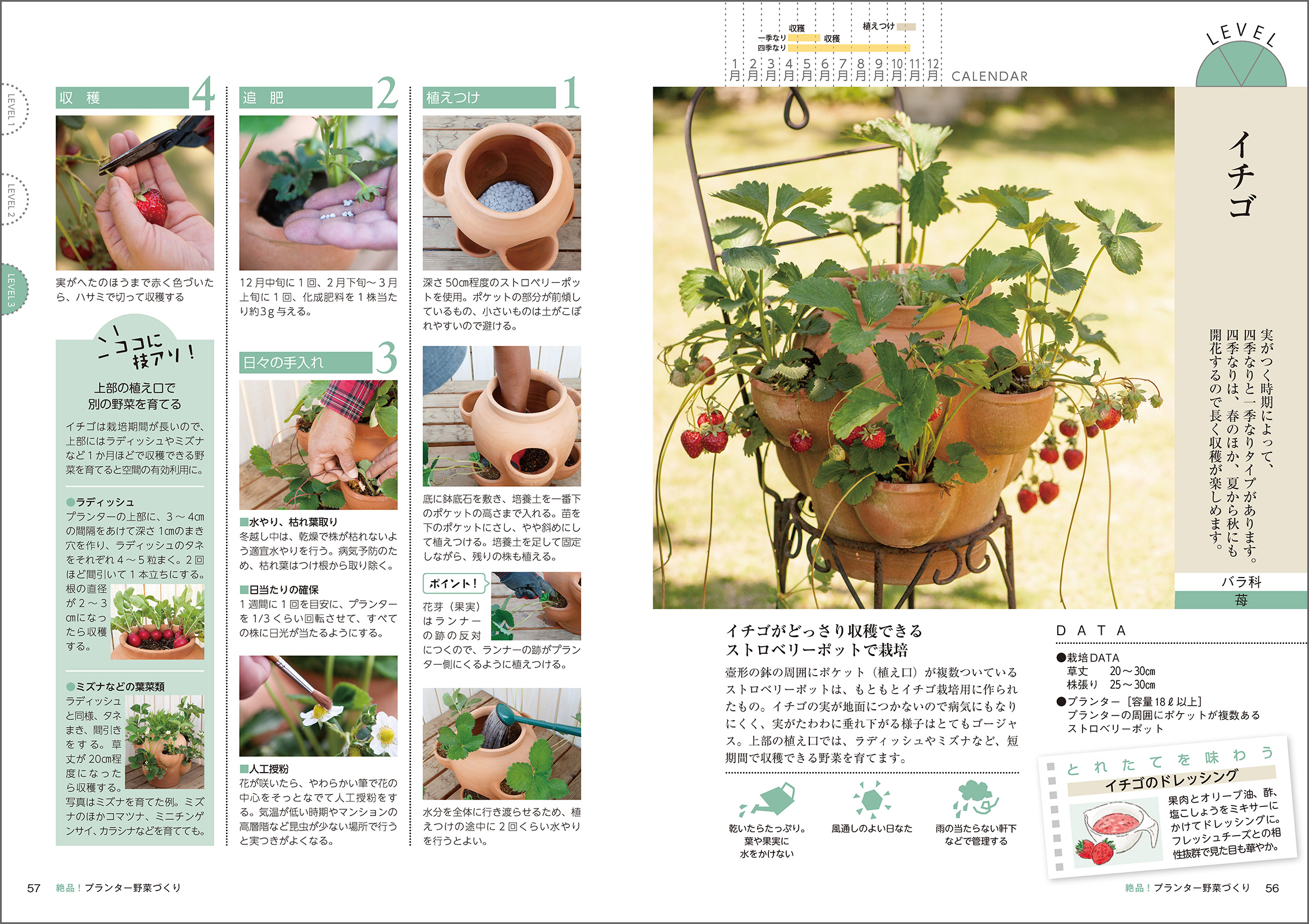 手軽にプランター野菜づくりを始められる一冊の画像