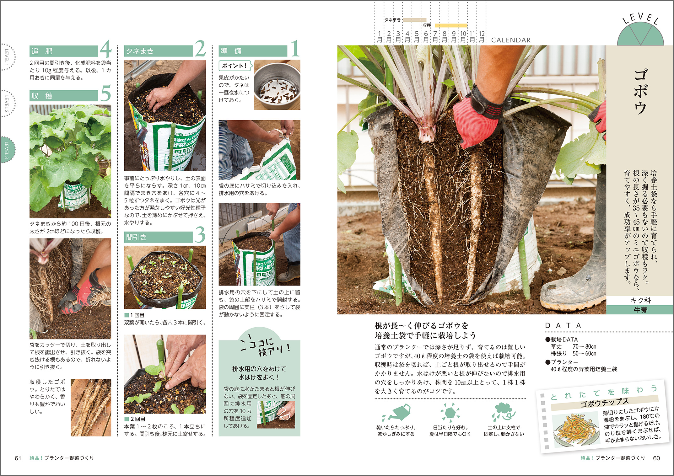 手軽にプランター野菜づくりを始められる一冊の画像