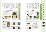 手軽にプランター野菜づくりを始められる一冊の画像